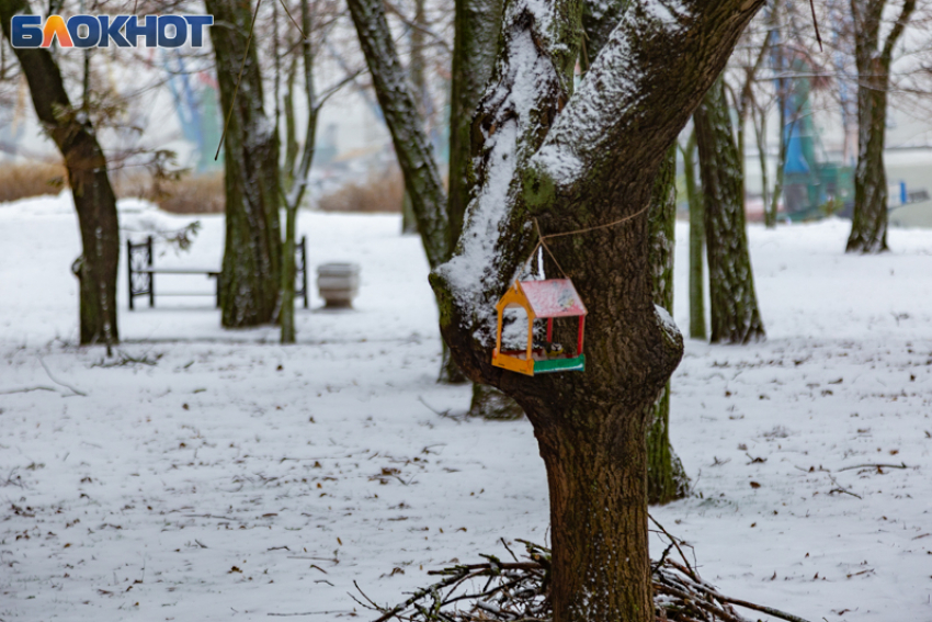 От весны к русской зиме за сутки: в Таганрог вернется мороз