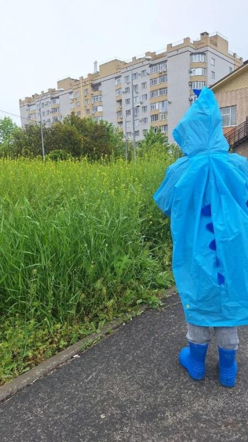 "С мачете ходить скоро будем": экстремальный путь к детскому саду снова показали таганрожцы