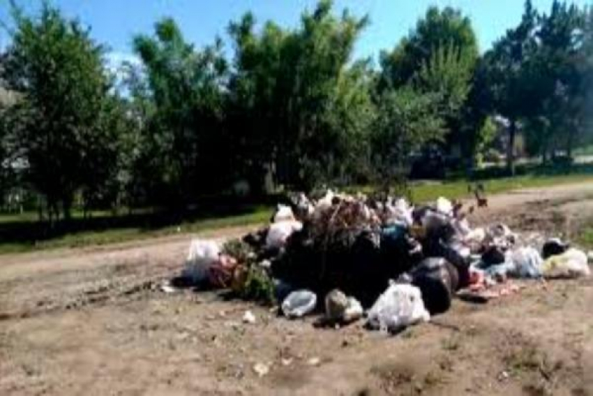 Таганрог вывел Ростовскую область в топ-10 регионов с самыми зловонными свалками