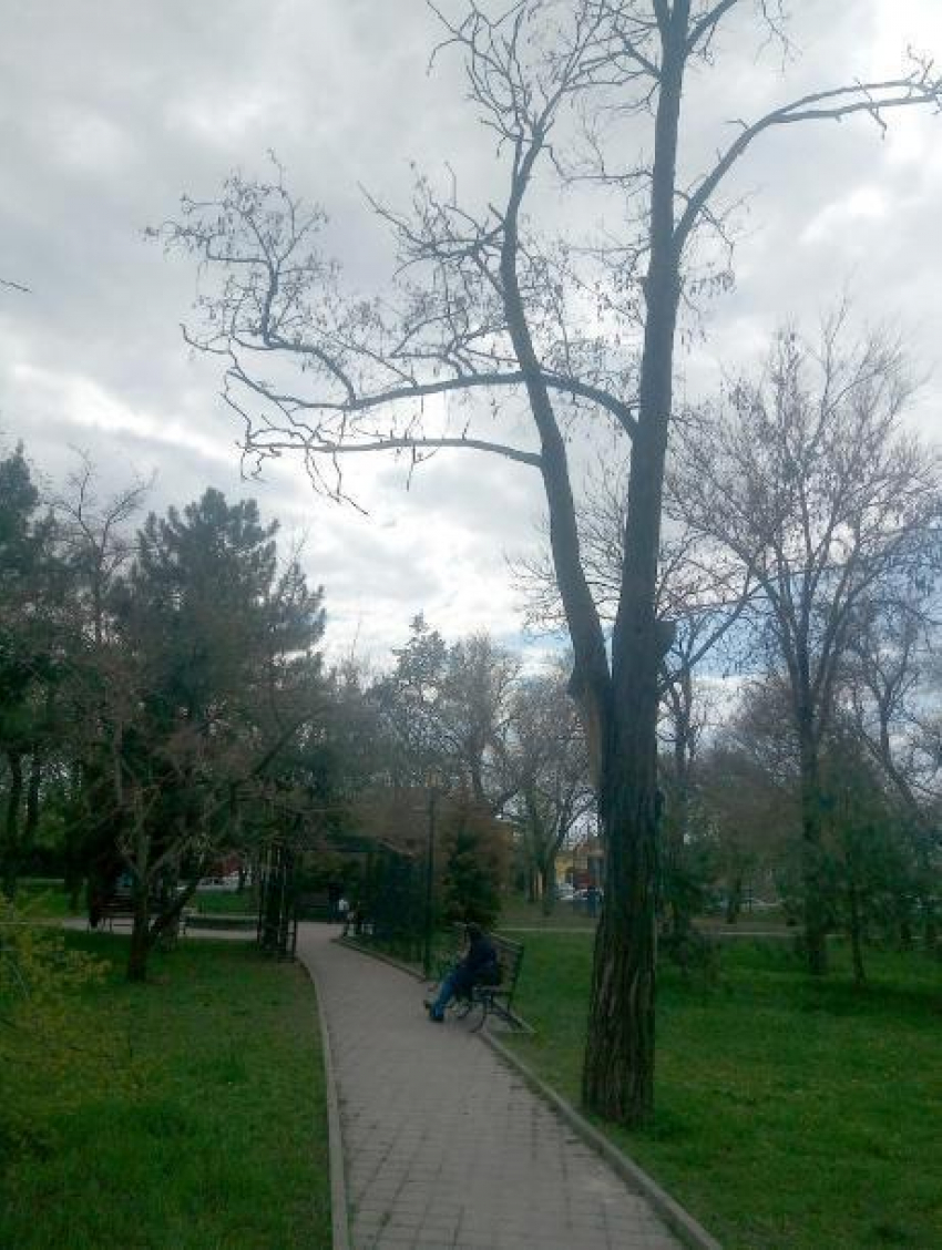 В сквере возле памятника А.П.Чехову в Таганроге опасно гулять