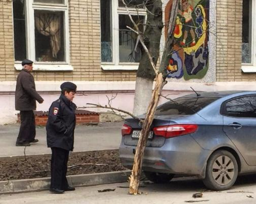 Первой жертвой шторма в Таганроге стала иномарка