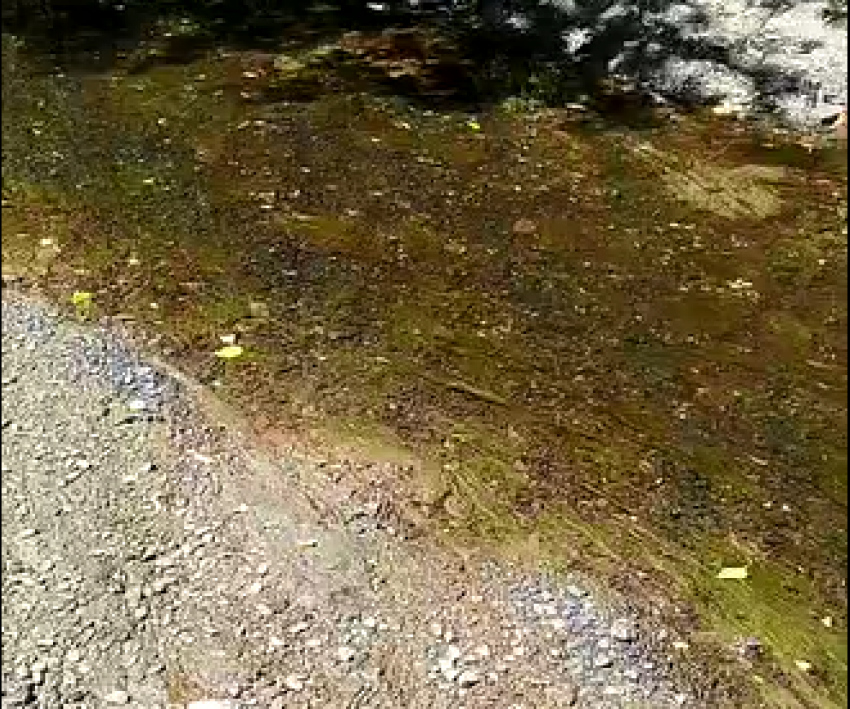 О том, как обмелел Миус рассказал житель Таганрогского округа 