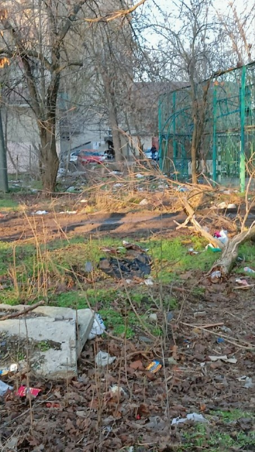 "Горы мусора вместо чеховских историй": гости Таганрога шокированы загаженными дворами