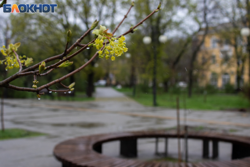 20 марта — день Павла Капельника: почему сегодня нельзя грустить, а нужно мириться и чинить сломанное