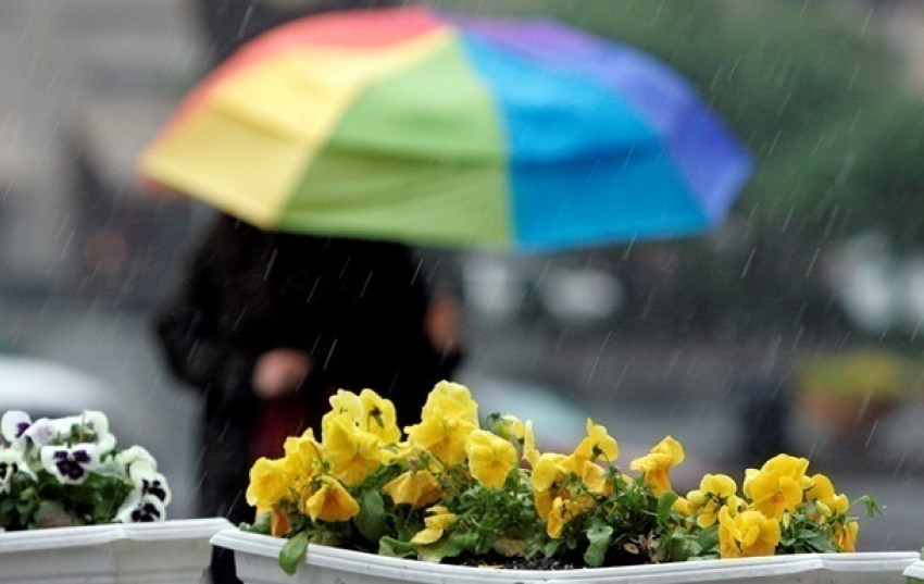 Погода на 9 мая в Таганроге: будет дождливо и ветрено