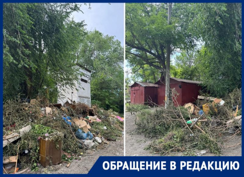  «Денег нет, но вы любуйтесь»: «Благоустройство» Таганрога полгода не может убрать стихийную свалку 