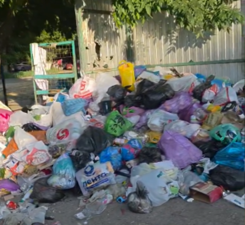 Таганрогское «Благоустройство» снова достаёт 4,4 миллиона на создание мусорных площадок