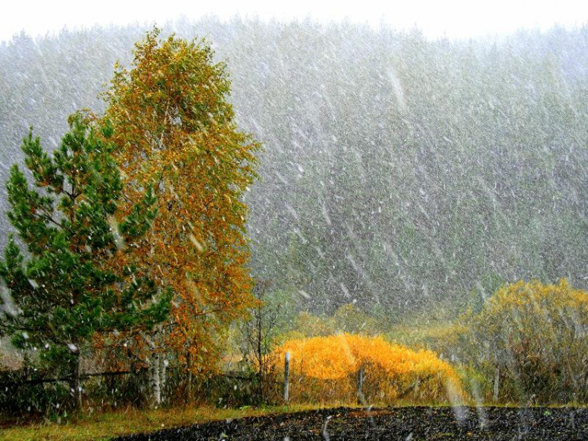 Дождь, снег и солнце – переменчивая погода Таганрога