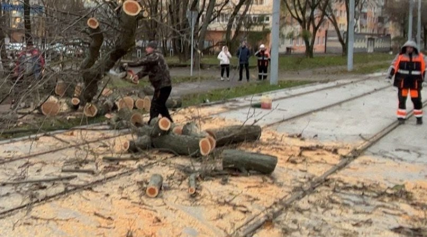 Городские службы Таганрога устраняют последствия непогоды