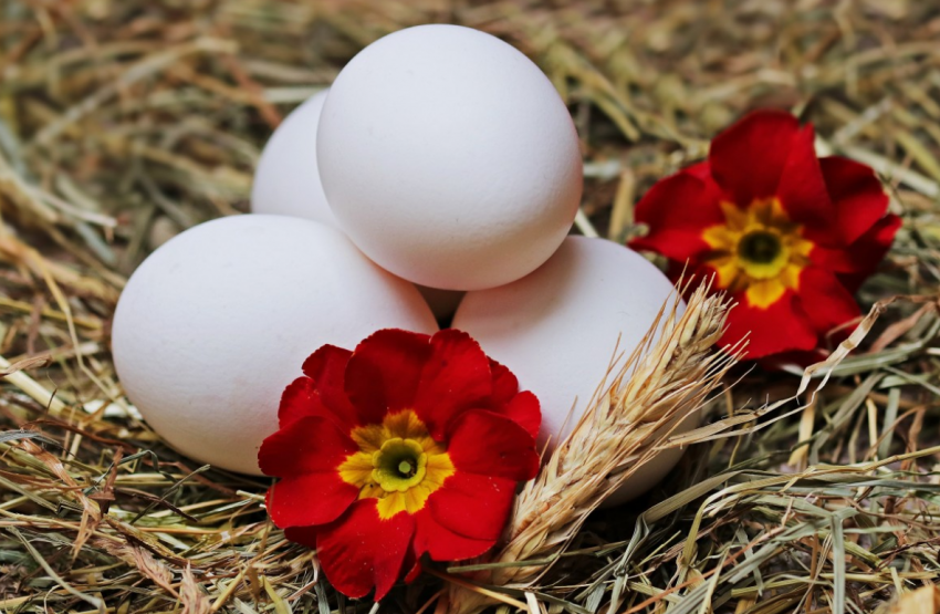 Яйца, мясо, масло, маргарин, рыба подорожали, называем таганрожцам новые цены