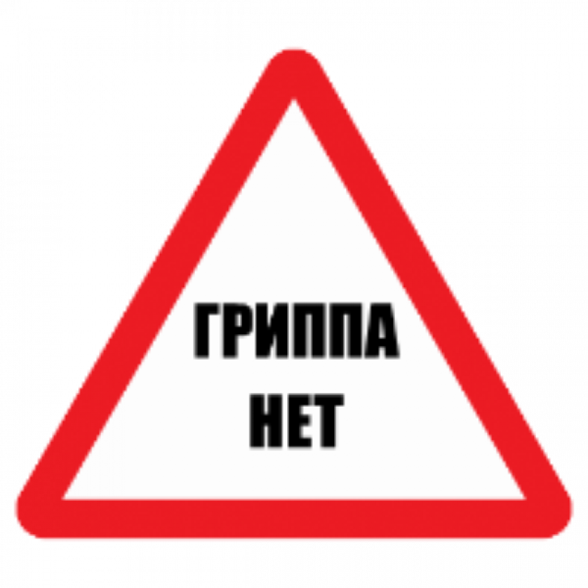 Сергей Мусиенко отчитался: в Таганроге грипа нет