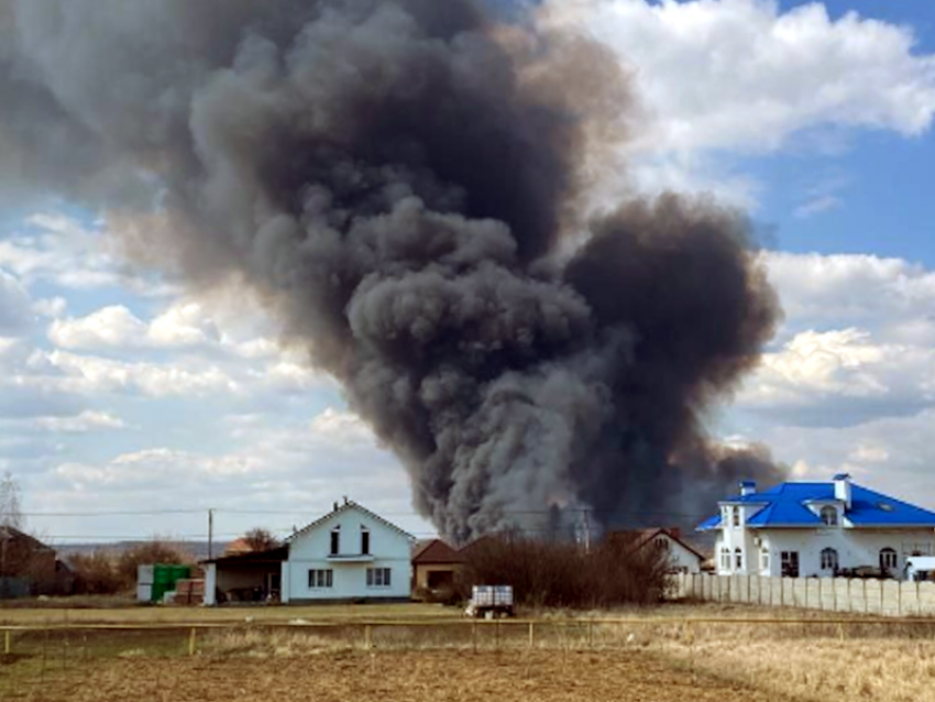 За пал сухой травы в Таганроге и области — до 800 тысяч рублей штрафа