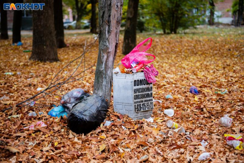 Волонтёры Таганрога на страже чистоты и порядка 