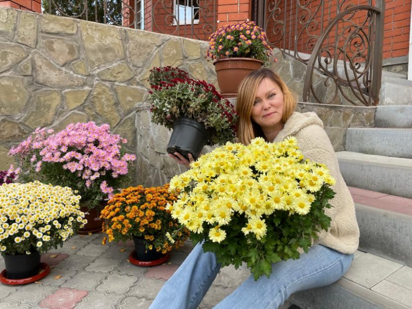 Цветные «шарики» хризантем: как сохранить мультифлору до весны