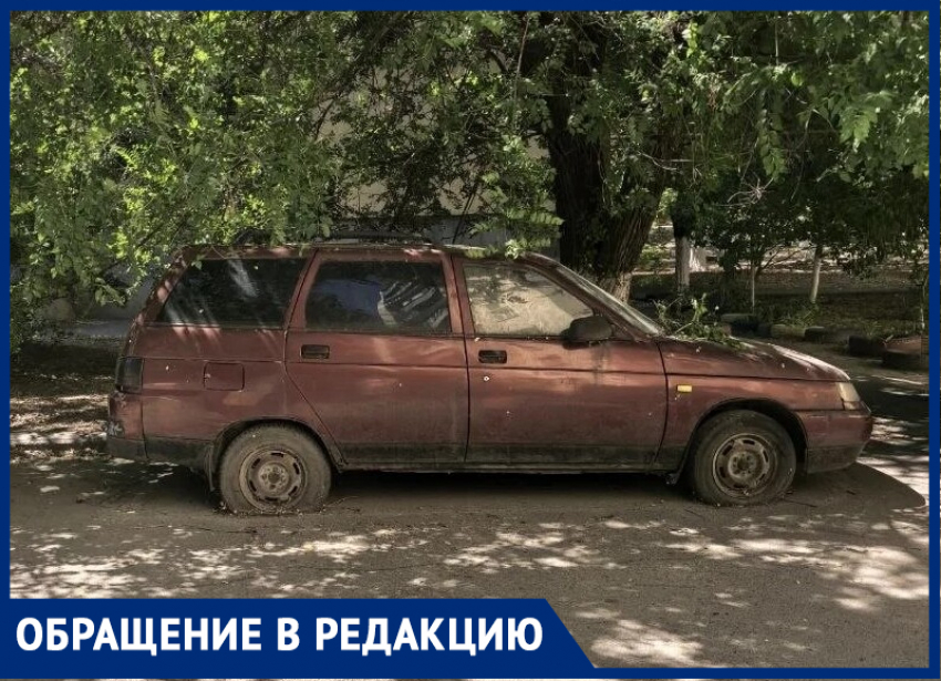 Бесхозная машина не даёт спилить сухое дерево, которое грозит покалечить таганрожцев