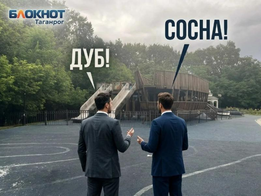 МКУ «Благоустройство» Таганрога проиграло суд по «Кораблику» в Дубках, но продолжит судиться