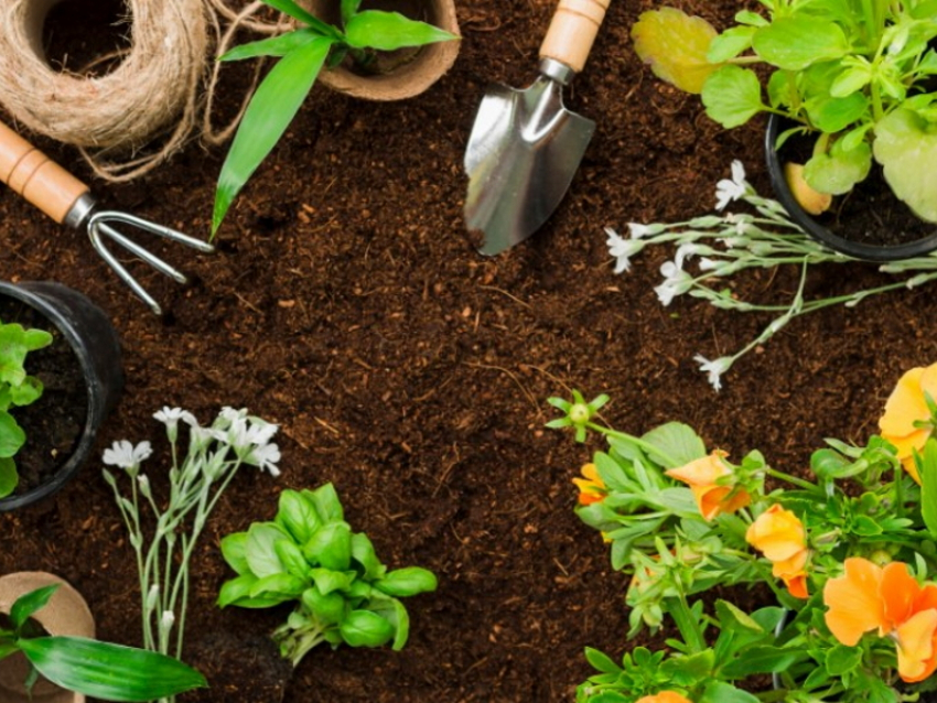 Стирать и брать грабли в руки: что можно и нельзя делать в день Конона Огородника, 18 марта