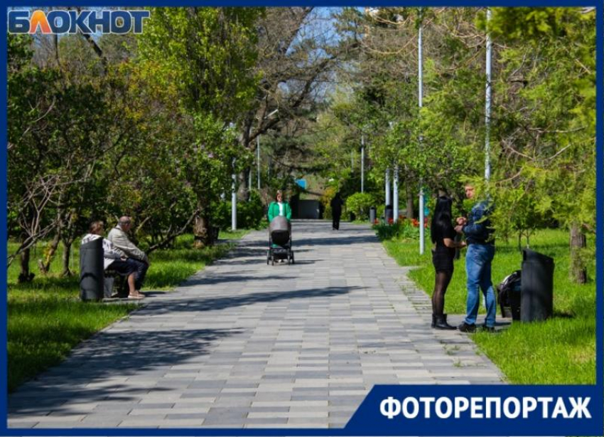 Дуэт зелени и музыки – Приморский парк Таганрога