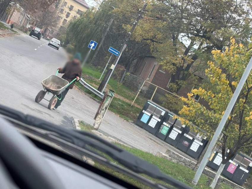 Садовая тачка вместо совести: таганрожец устраивает свалку растительных отходов у контейнеров