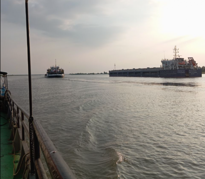 Таганрогский залив исследовали в заморный период учёные РАН: их выводы опровергают фундаментальную версию?