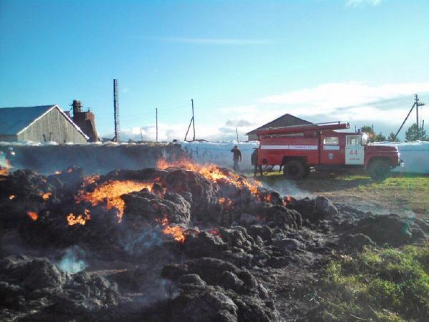 Под Таганрогом злоумышленники устроили большой пожар