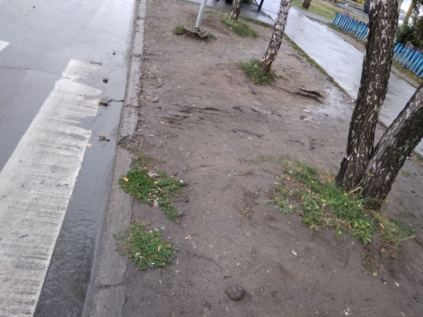 Перепрыгивать с шестом или брести по грязи: уродливость таганрогских остановок