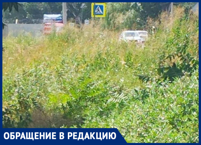 Тротуара пока не будет: власти Таганрога снова разочаровали жителей Мариупольского шоссе