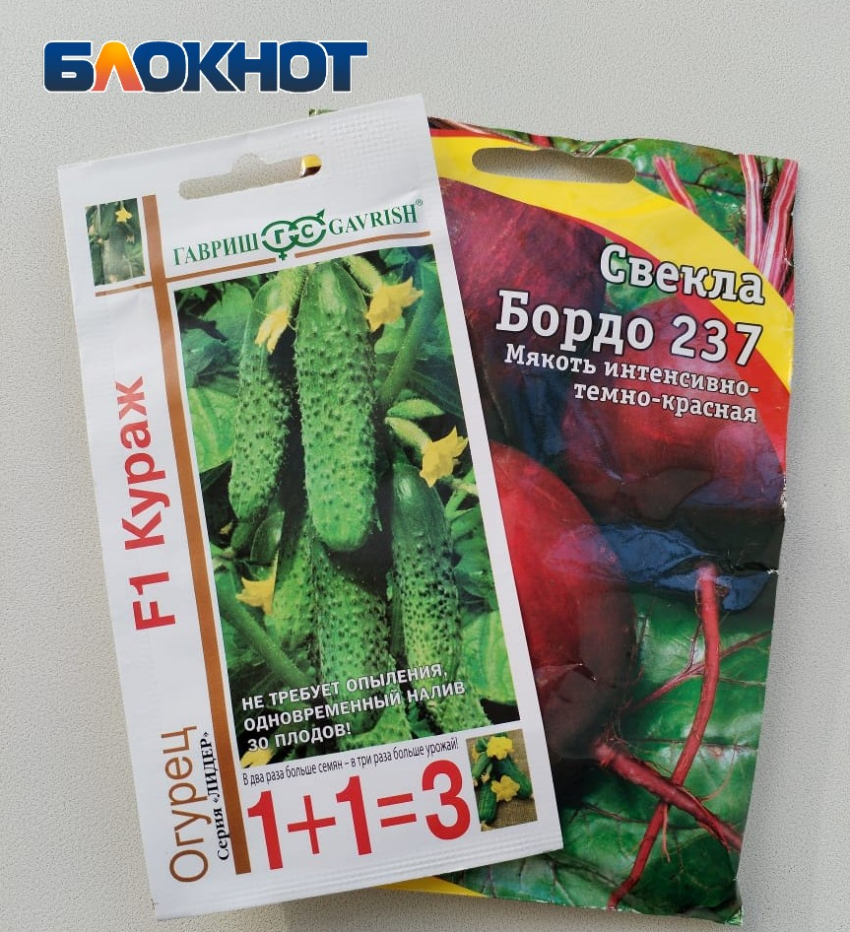 В Таганроге начинается горячая пора для огородников: увеличиваем всхожесть семян