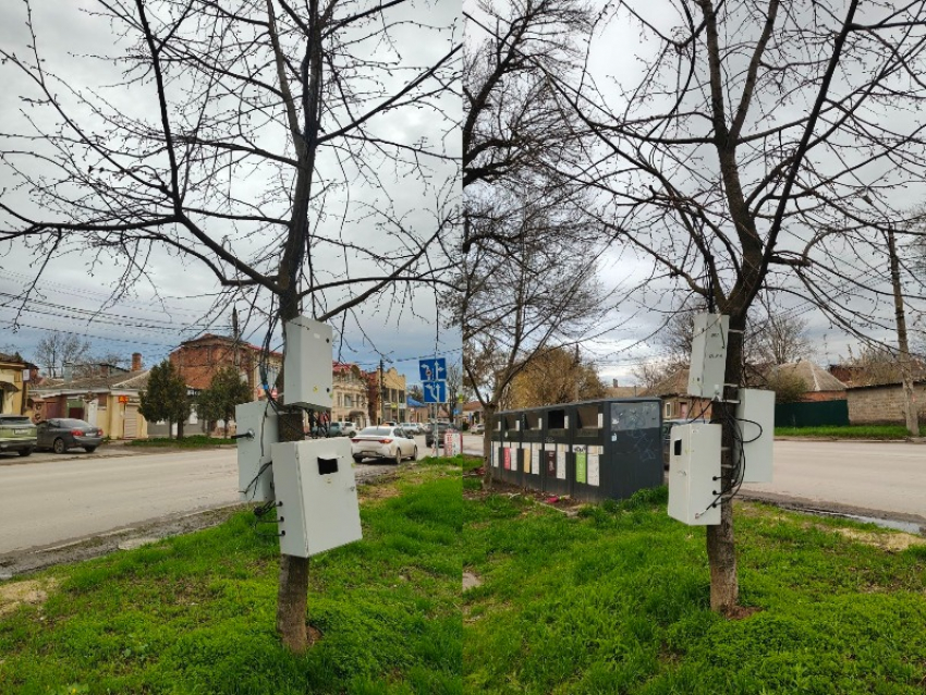 «Бедное дерево»: таганрожцев вогнал в ступор «инновационный электрический столб» 