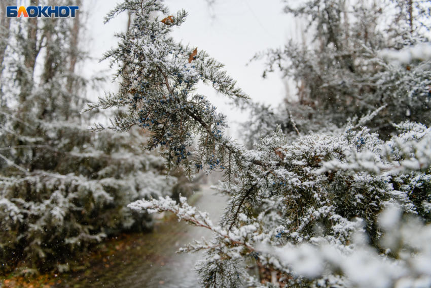 В Таганрог спешат морозы и снег