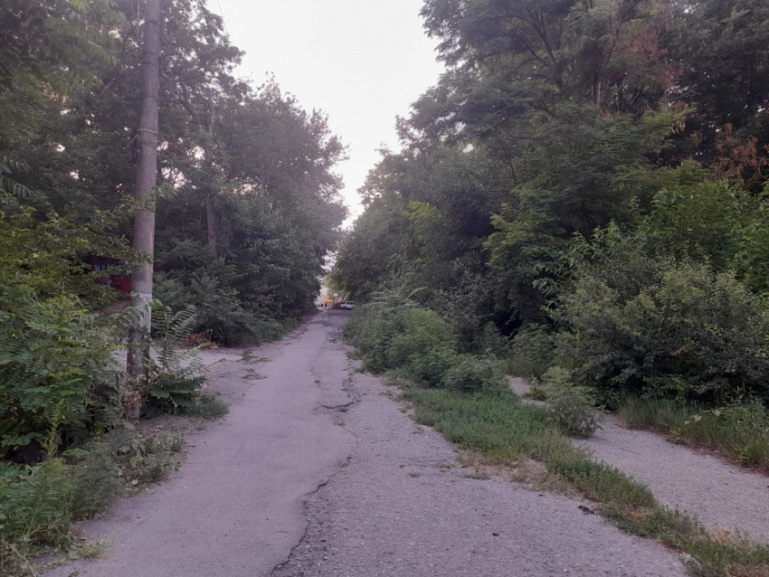 В этот день 329 лет назад Император ступил на мыс Таганий рог