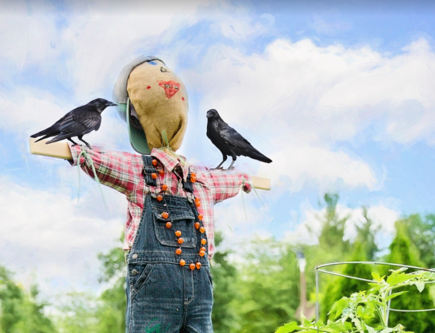 Таганрог в августе раскалится выше +40, учёные попросили горожан о помощи