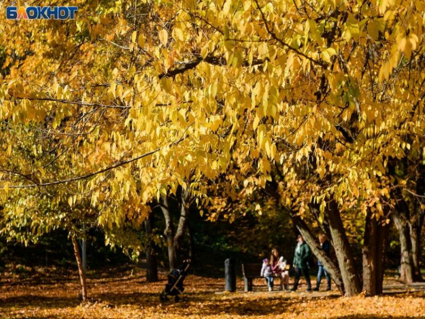 Мало дождей, но холодно: какой будет погода на новой неделе