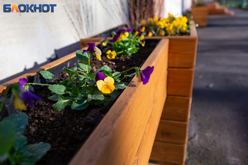 Таганроженка обратилась к Юрию Слюсарю с уникальным проектом для детей и города