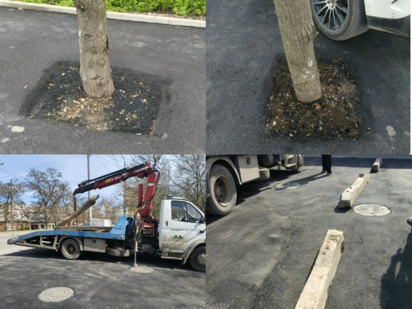 В Таганроге газон превратили в парковку — полиция ищет «умельцев»