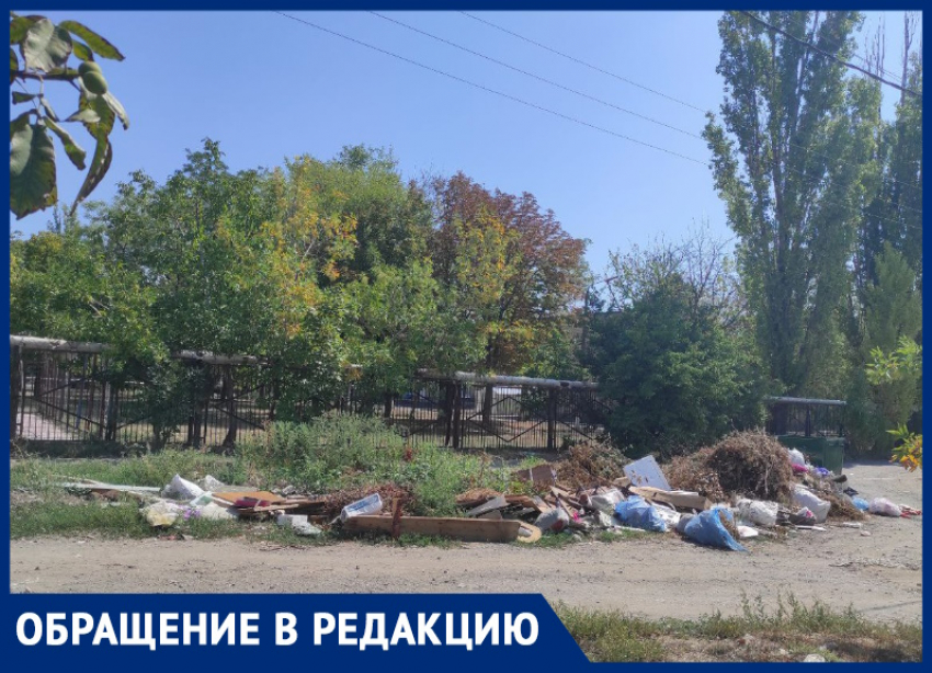 Вонючая мусорка под носом у детей кишит заразой - ужасы СЖМ в Таганроге