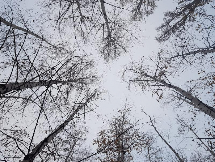 Григорий Зимоуказатель: как провести таганрожцам 30 ноября, чтобы привлечь удачу 