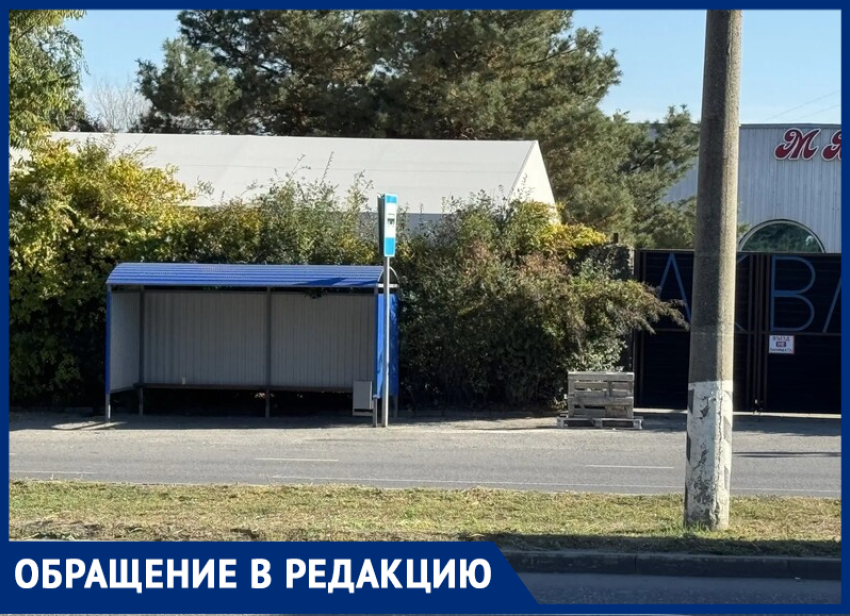 Сансара по-таганрогски: чиновники «футболят» пассажиров из-за остановки-невидимки