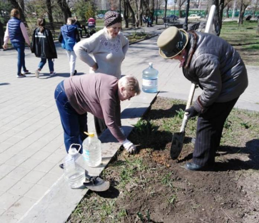 Таганрожцы своими силами начали облагораживать сквер у памятника Чехову