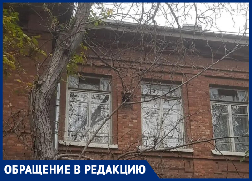 Пока без жертв: сухое дерево грозит лишить жизни детей у школы в центре Таганрога