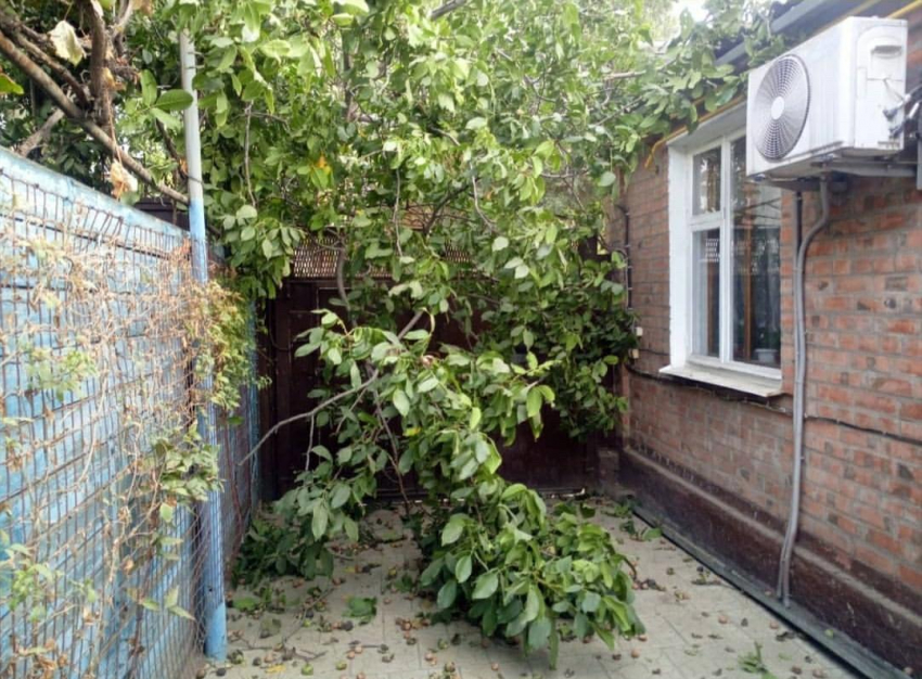 Суровые таганрожцы: хотели спилить ветки, а снесли часть крыши
