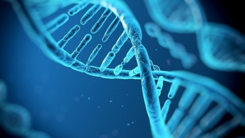 Сегодня отмечаеться Международный День ДНК