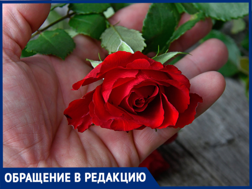 Ночной промысел: в Таганроге соседка разоряет чужие клумбы - попала на видеокамеру
