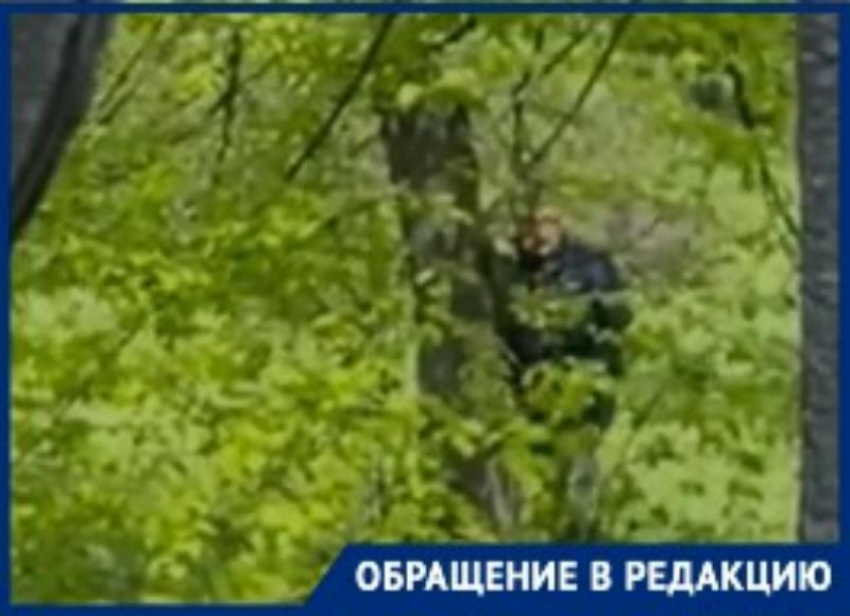 Обострение рукоблудов и эксгибиционистов начинается весной в Таганроге
