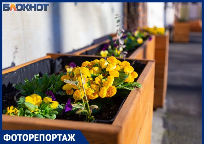 «Весне дорогу!»: как преобразился Таганрог с приходом тепла
