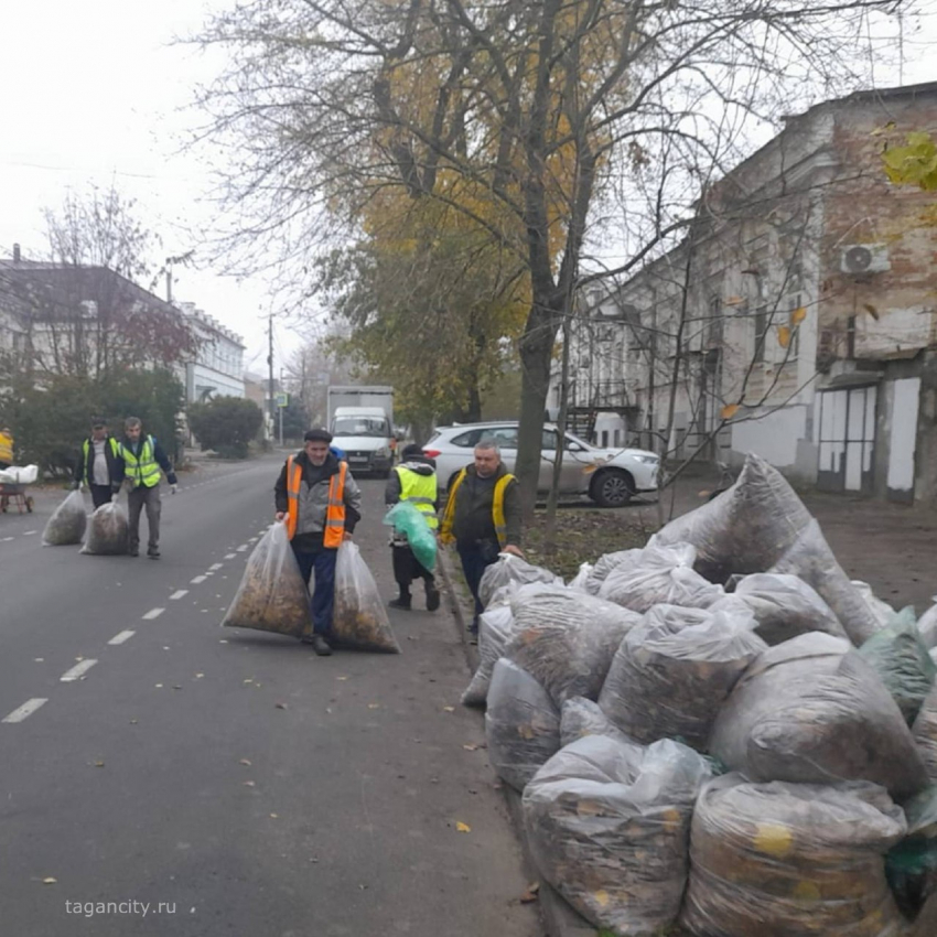 Деньги ушли на штрафы? Опавшую листву в Таганроге уберут не везде
