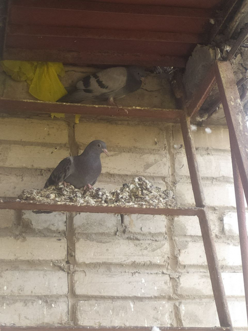 Нерукотворные пирамиды в Таганроге - жители им не рады 