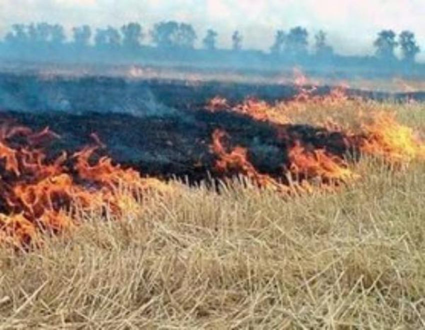 Причиной задымления Таганрога стала горящая стерня в Неклиновском районе