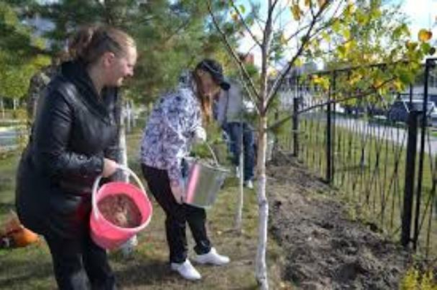 Центр Занятости потратит 2 миллиона на оплату труда учащихся во время каникул