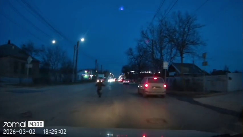 Ребёнок рисковал жизнью ради раненой собаки в Таганроге